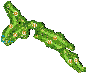 コース全体俯瞰図