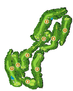 コース全体俯瞰図