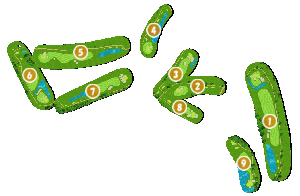 コース全体俯瞰図