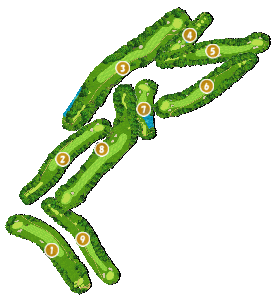 コース全体俯瞰図