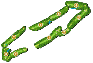 コース全体俯瞰図