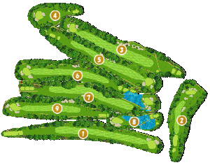 コース全体俯瞰図