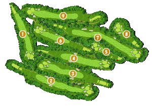 コース全体俯瞰図